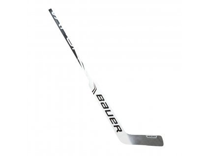 Hůl G. BAUER S19 X2.9 GOAL STK INT LFT (P31)