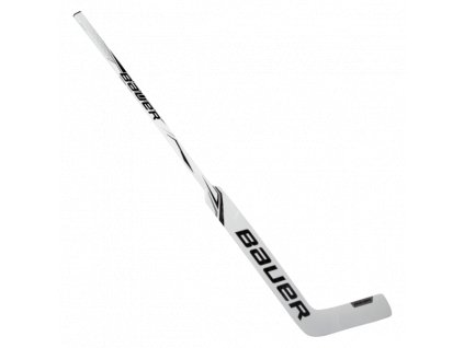 Hůl G. BAUER S20 GSX GOAL STK INT - RHT