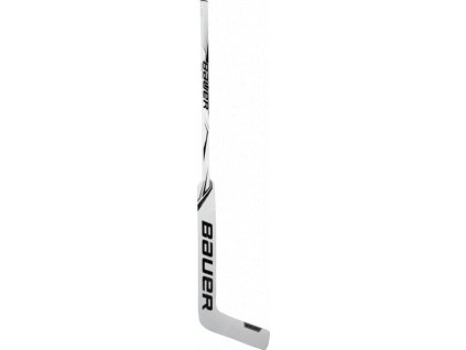 Hůl G. BAUER S20 GSX PRODIGY GOAL STK YTH- LFT