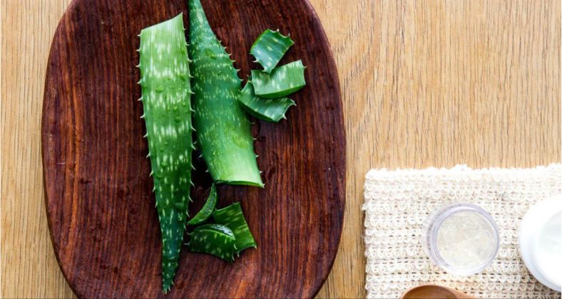 Aloe - anti-age péče?