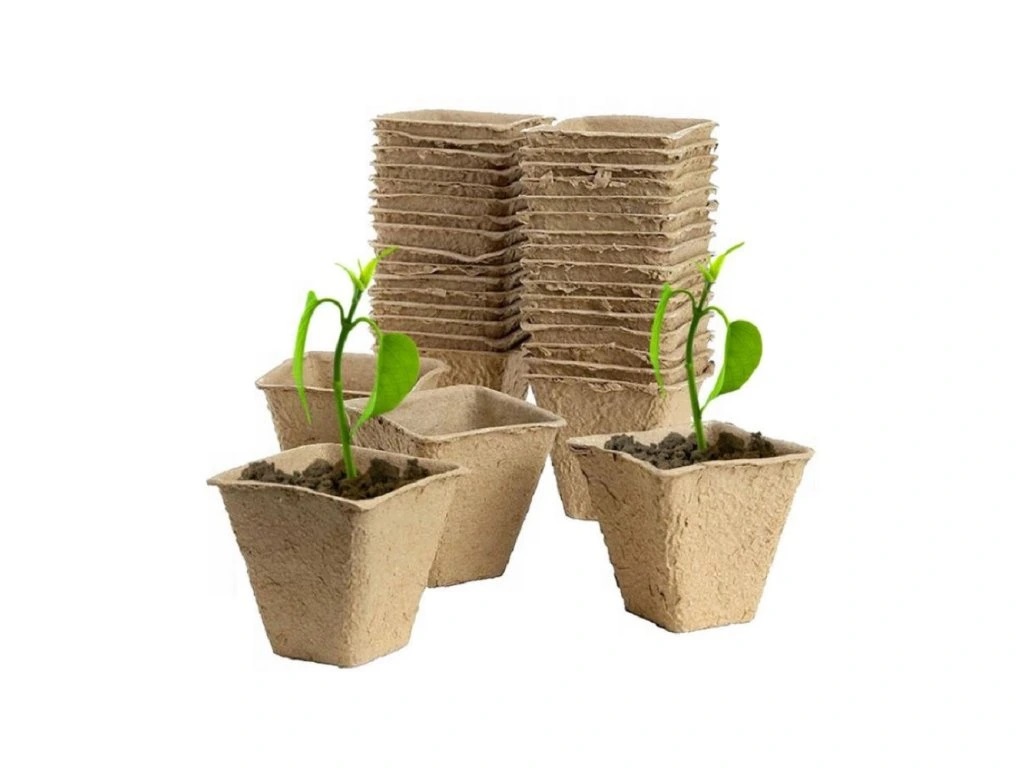 Rašelinové květináče