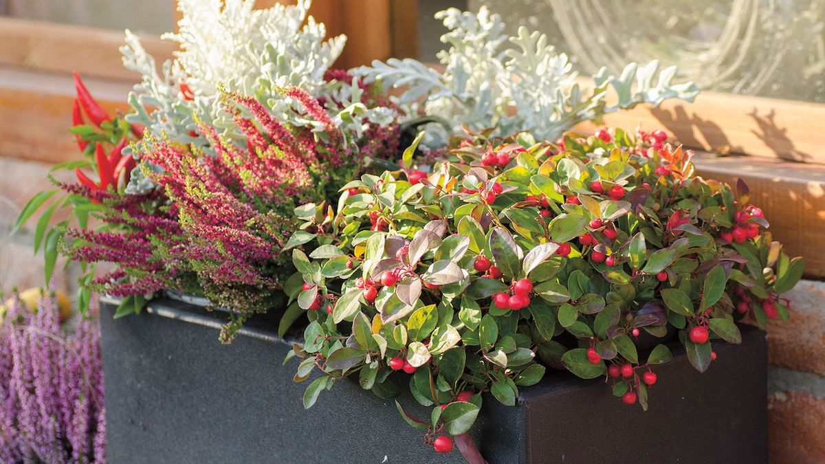 Truhlíky a květináče