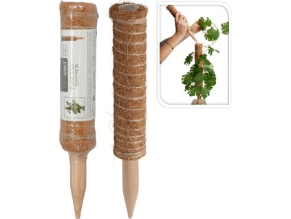 CY8954550 COMPOSITION 001