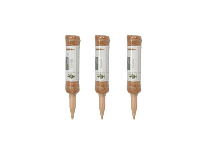 CY8954550 ASSORTED 002 2