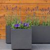 Karo2
