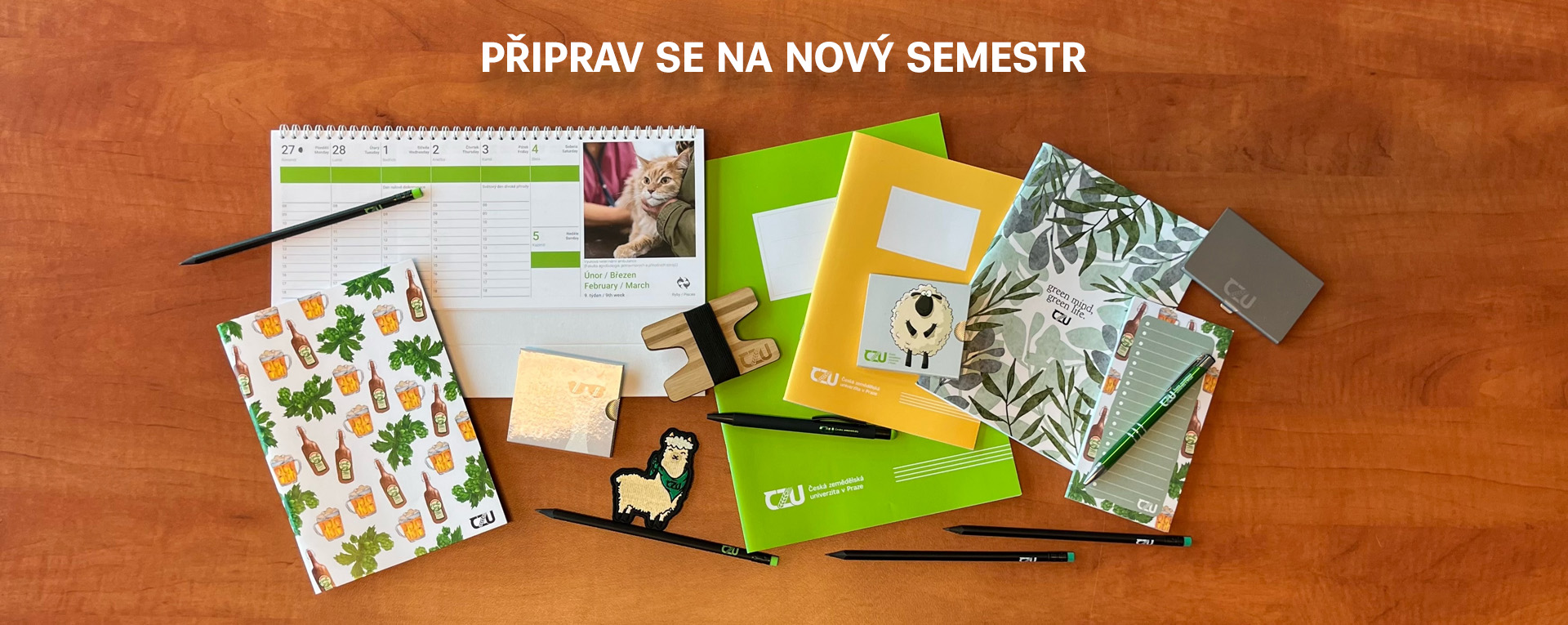 Semestr 2023
