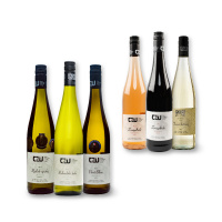 03_vina_web_1_small