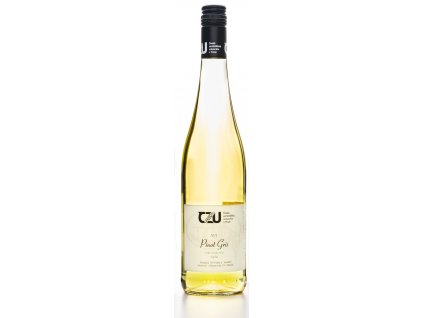 Vino (1)