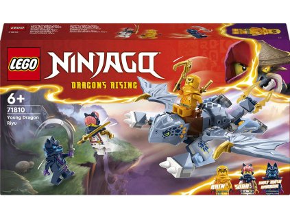 LEGO NINJAGO Dračí mládě Riyu 71810 STAVEBNICE