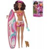 MATTEL BRB Panenka Barbie surfařka herní set s doplňky v krabici  + Dárek zdarma