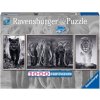 RAVENSBURGER Puzzle Panter, slon a lev 1000 dílků 98x38cm panorama triptych