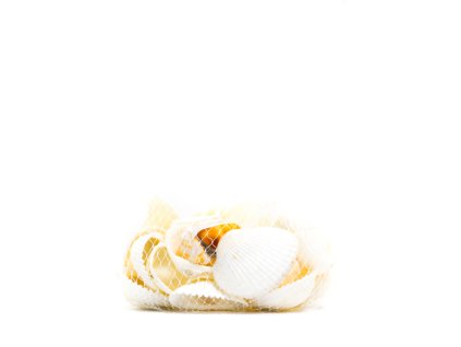 Dekorácia – mušle (Farba Neurčená, Veľkosť Neurčená)