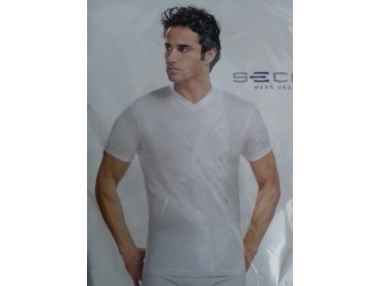 Pánske jednofarebné tričko - V výstrih, PoloTrade (Farba Čierna, Veľkosť M)