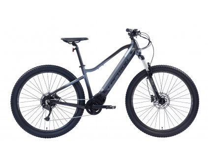 vyr 229Esconder MZX bok