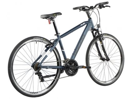 Arezzo AWIS Pánské 28", 2023 modrá, vel. 22,5"