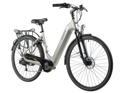 Induktora 28silver 1%20(1)