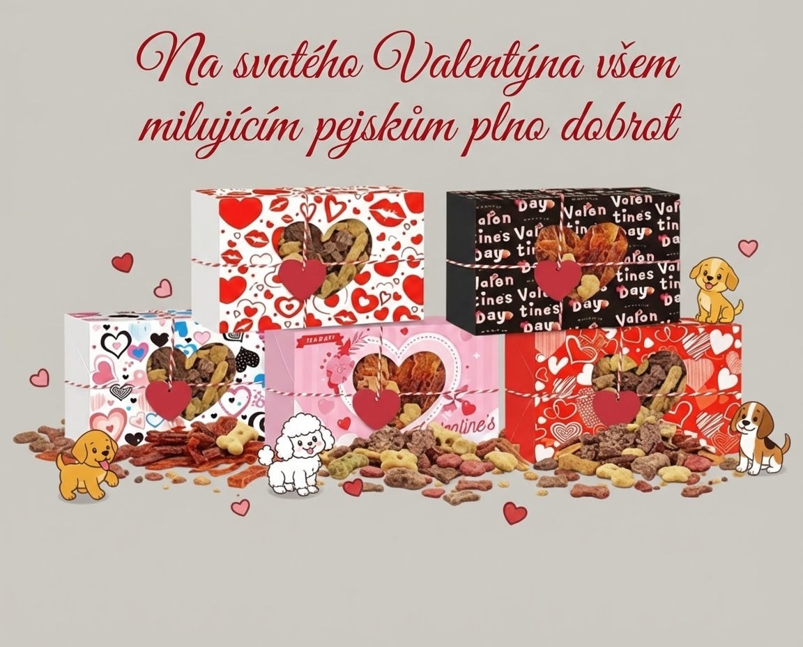 Valentýnský balíček pro pejsky