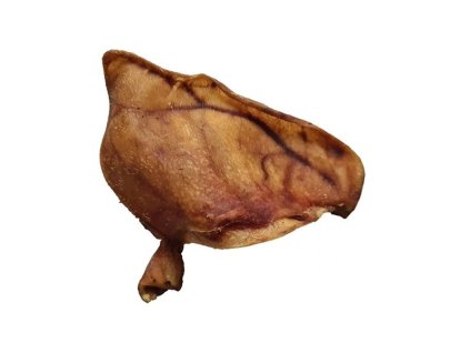 vepř ucho