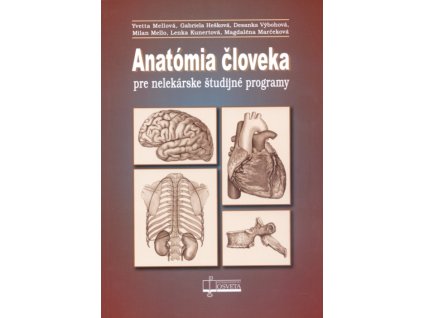 Anatómia človeka pre nelekárske študijné programy