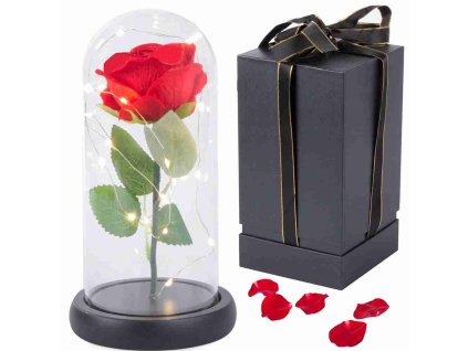 451ff3b8fd50dd21f4fff93611717470 11zon