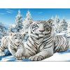 original b1224c75a55b17feb0dd5f5dcf78035c