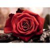 original 24bddba413f1ed21fee79b1243a851d4