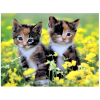 original a37a31ced8de633915a6ff047bf66de5
