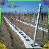 original b2e18caace306c2b2a5a8416f2f170ba
