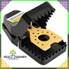 original a176f38047e24e6b259361457d39341b