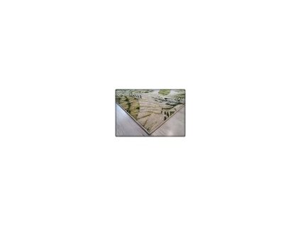 11776 8 moderny koberec garden so vzorom listov 716