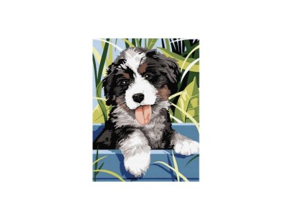 MALEN NACH ZAHLEN 40X30CM HUND 22780