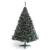 Weihnachtsbaum Fichte mit Zapfen verschneit
