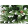 Detail von Kiefernnadeln mit Zapfen und schneebedeckten Enden
