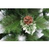 Detail von Kiefernnadeln mit Zapfen und schneebedeckten Enden