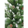 Detail von Kiefernnadeln mit Zapfen und schneebedeckten Enden