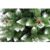 Detail von Kiefernnadeln mit Zapfen und schneebedeckten Enden