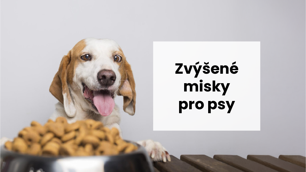 Význam nastavitelných a vyvýšených misek pro psy