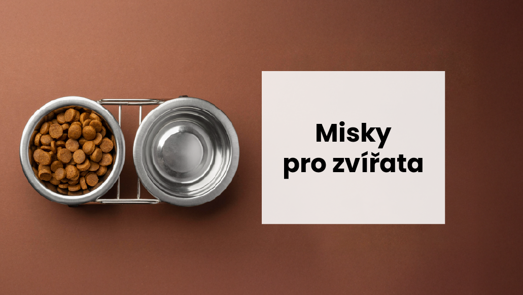 Průvodce výběrem misky pro psy a domácí zvířata