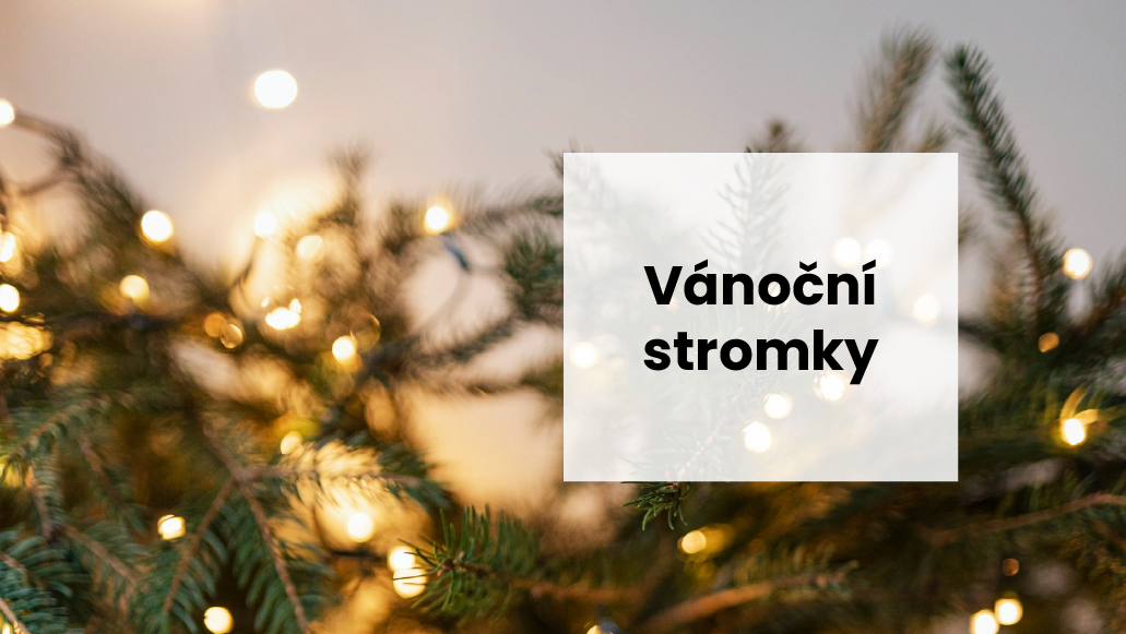 Zajímavý fakt: Vánoční stromek jako ochrana přírody