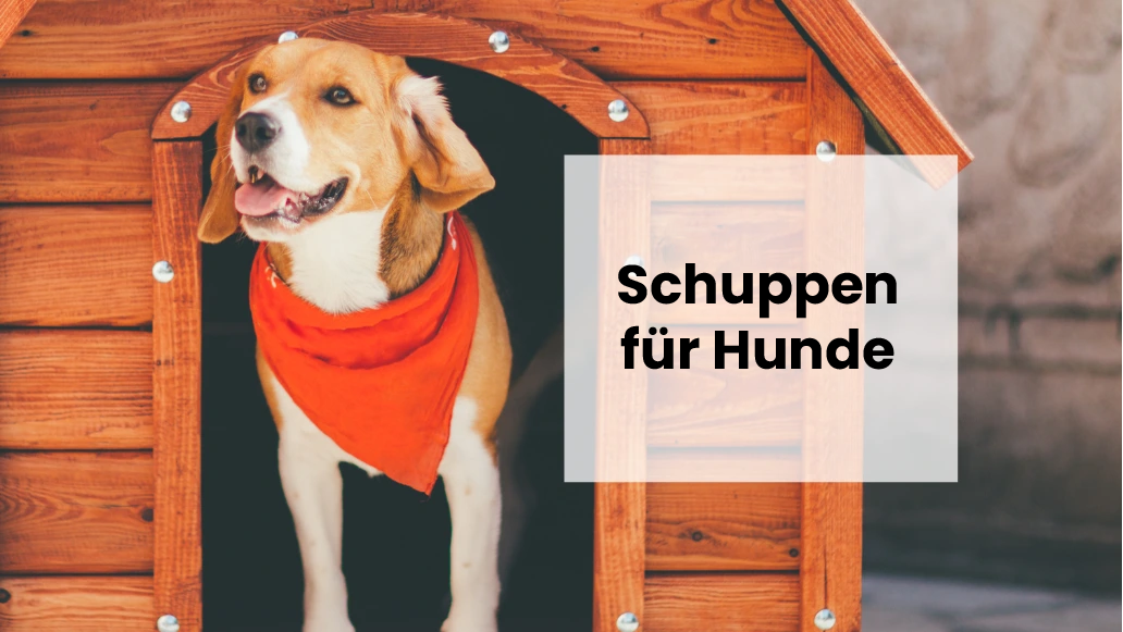 Vollständige Schritt-für-Schritt-Anleitung für den Zusammenbau einer Hundehütte
