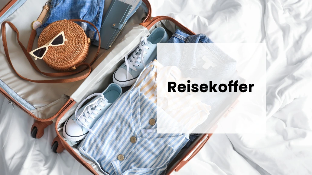 Alles, was Sie über Reisekoffer wissen müssen, in kurzem Blick