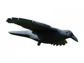 VOGELSCHRECK VOGELABWEHR, FLIEGEND - RABE