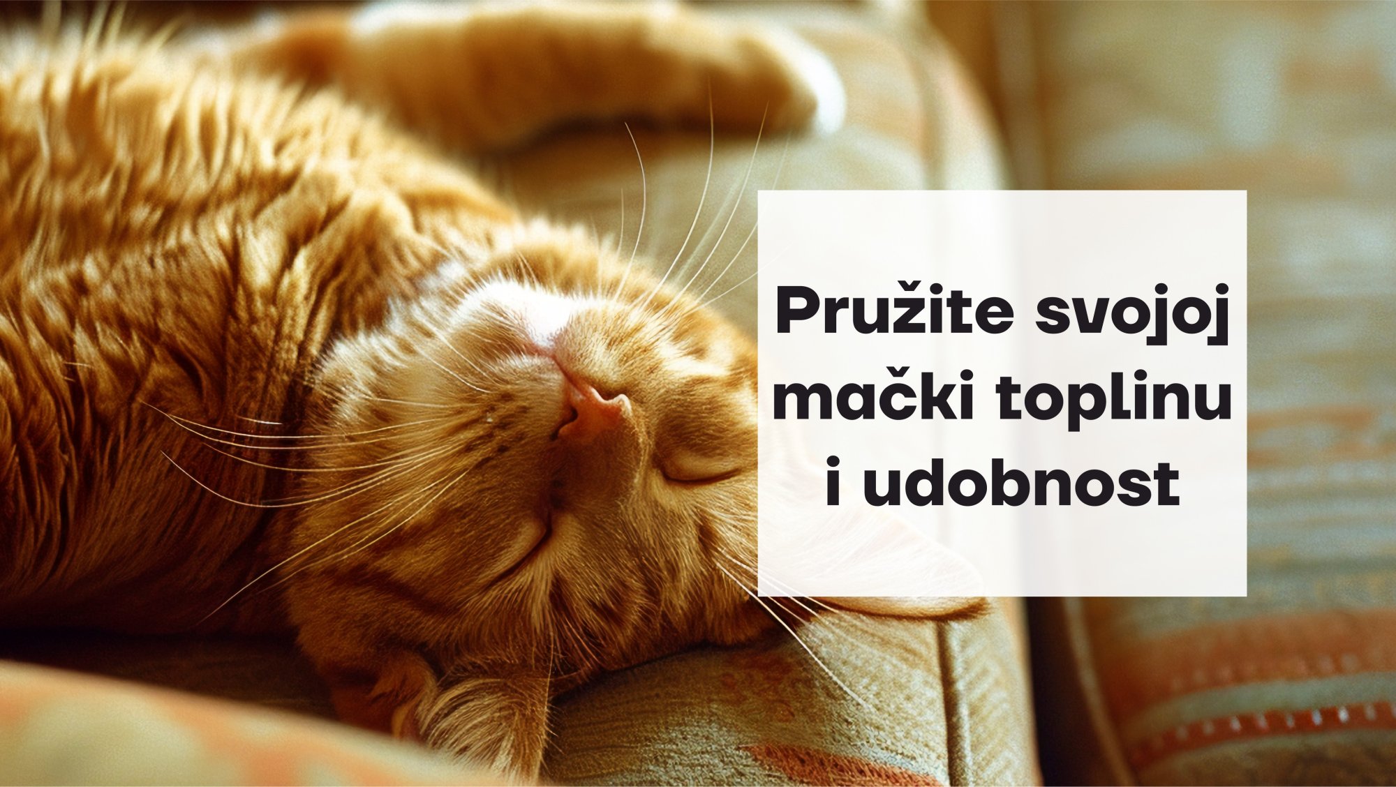 Kuće za mačke
