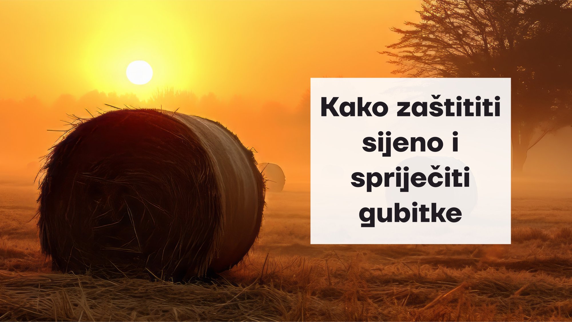 Kako zaštititi sijeno i spriječiti gubitke