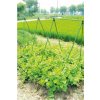 45186 1 podporna sietka na pestovanie uhoriek 260 cm x 150 cm jaw9379