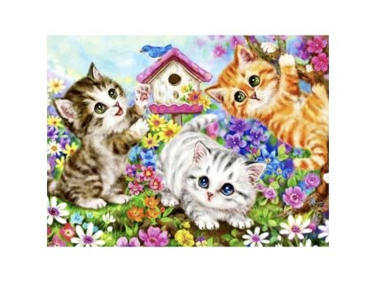 pol pl Malowanie po numerach 40x50cm kotki Maaleo 22781 17064 1