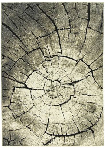 shopJK SZŐNYEG LOFT RÖVID BOLYHOS KRÉM-BÉZS D562A-FLE36 Rozmery: 120 x170