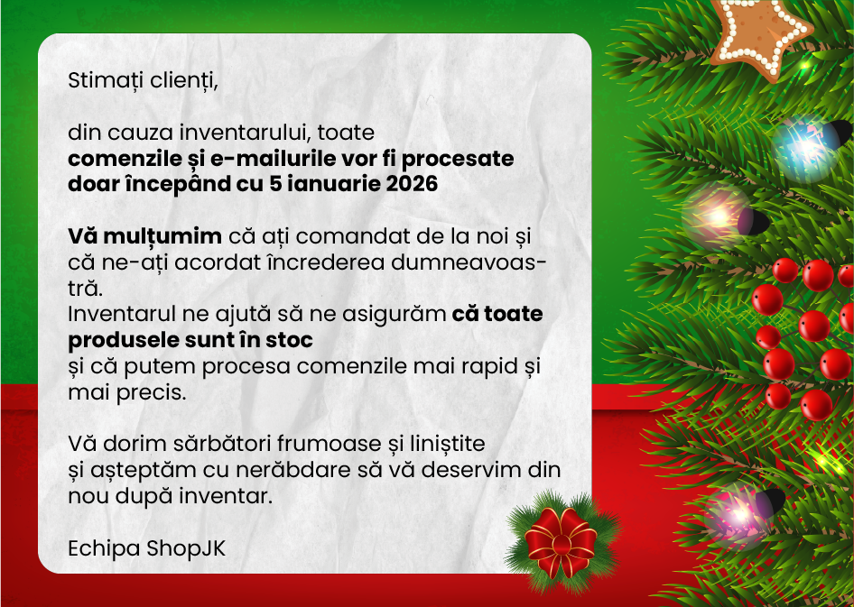 Sărbători de Crăciun inventar