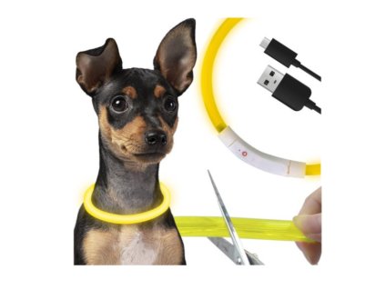 Zgardă LED pentru câini