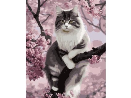 pol pl Malowanie po numerach 40x50cm kotek Maaleo 22783 17066 1